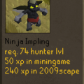 ninja_impling.png