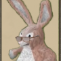 bunny-glasses.png