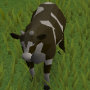m_cow.png