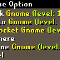 pickpocket_gnome.png