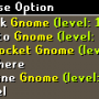 pickpocket_gnome.png