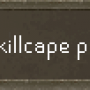 skillcape_perks_icon.png