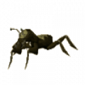 cave_bug.png