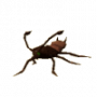 cockroach_drone.png