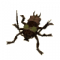 cockroach_worker.png