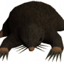 giant_mole.png