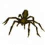 giant_spider.png