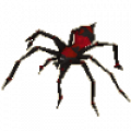 poison_spider.png