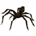 shadow_spider.png