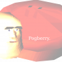 pogberry.png